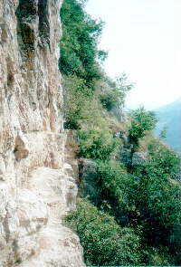 Monte Albano Bild 09