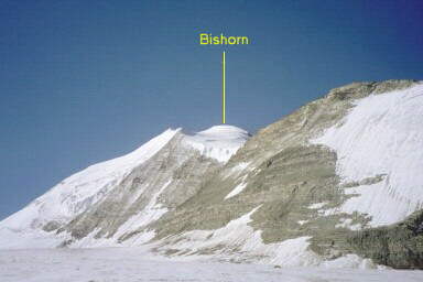 Bishorn Bild 11