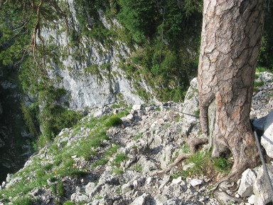 Drachenwand Klettersteig Bild 04